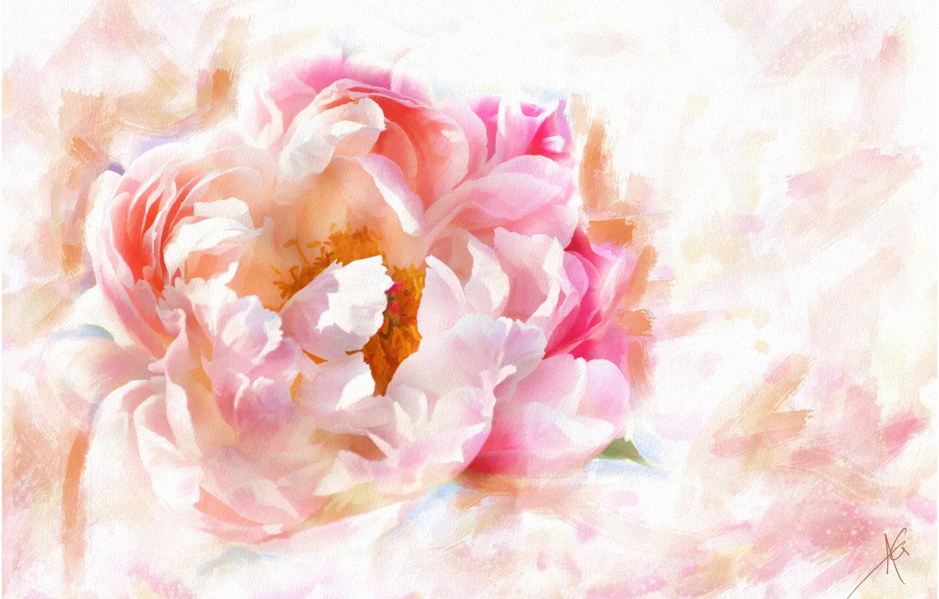 Фото обои цветок, цветы, розовый, рисунок, графика, обработка, картина, лепестки