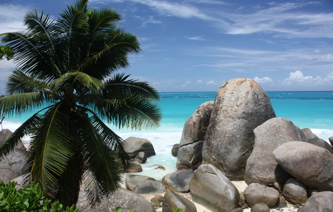 Фото обои песок, море, пляж, камни, пальмы, побережье, beach, coast
