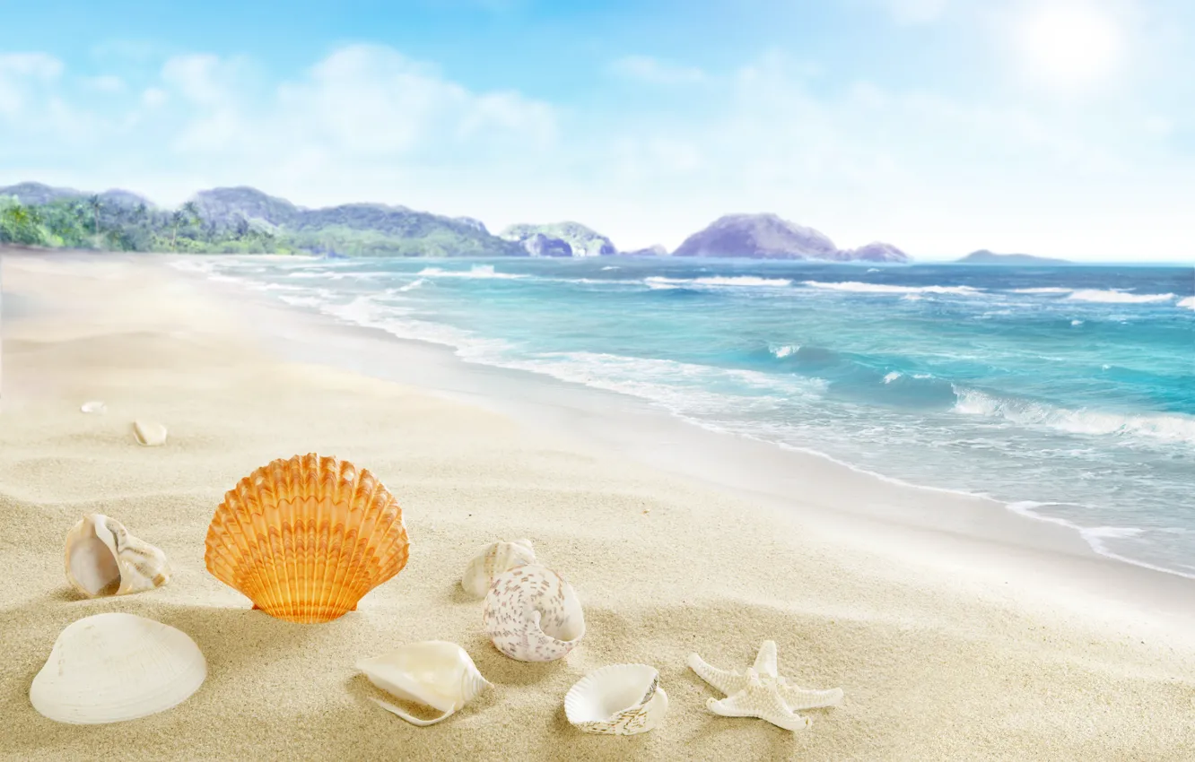 Фото обои beach, sea, sand, seashells