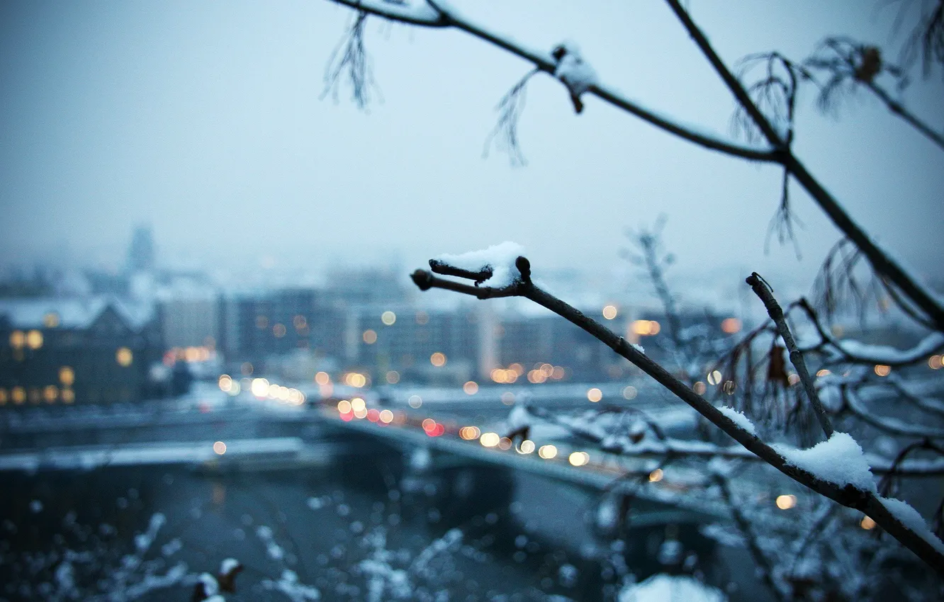 Фото обои снег, город, Зима, ветка