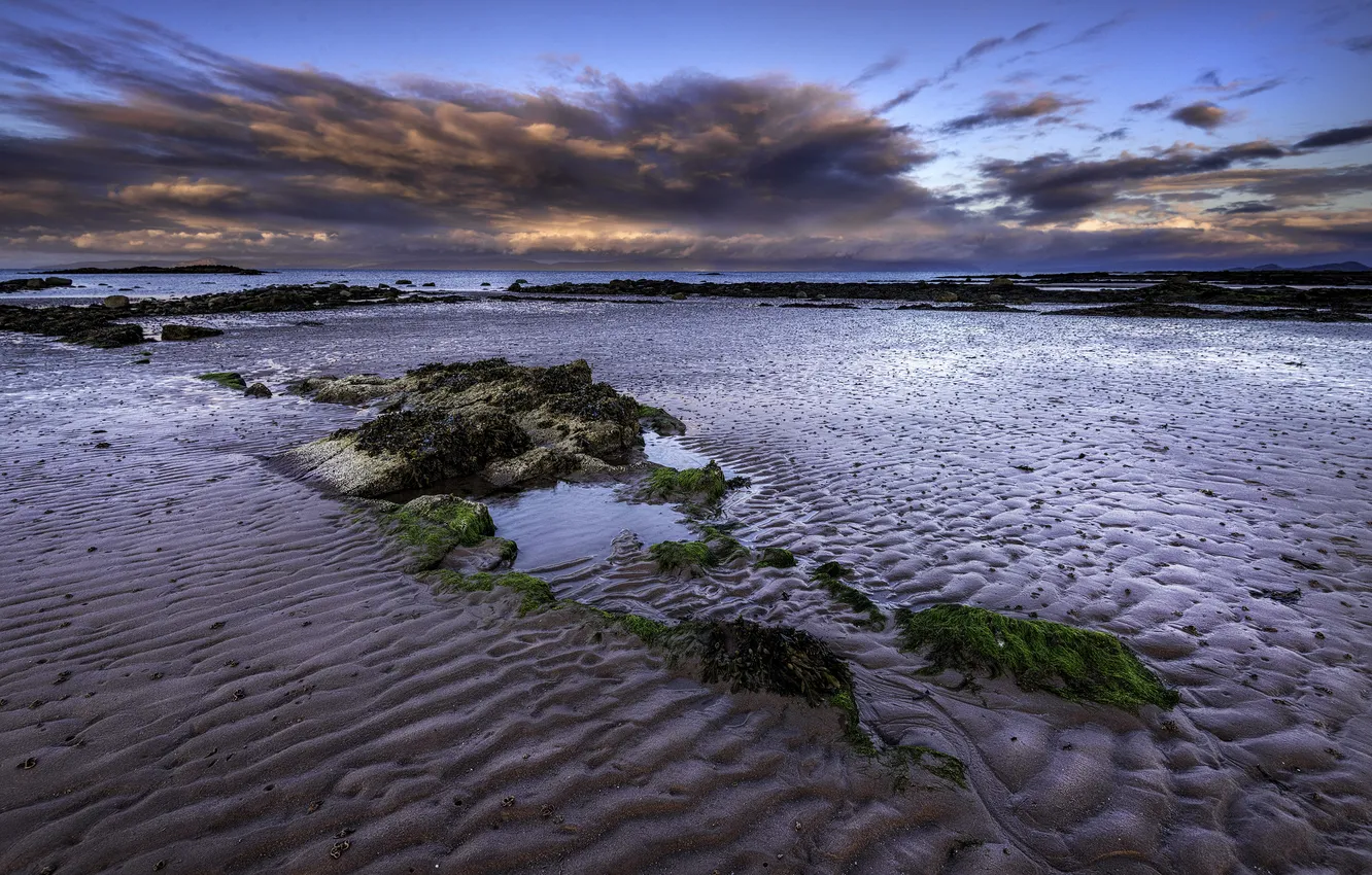 Фото обои песок, пляж, водоросли, камни, океан, рассвет, берег