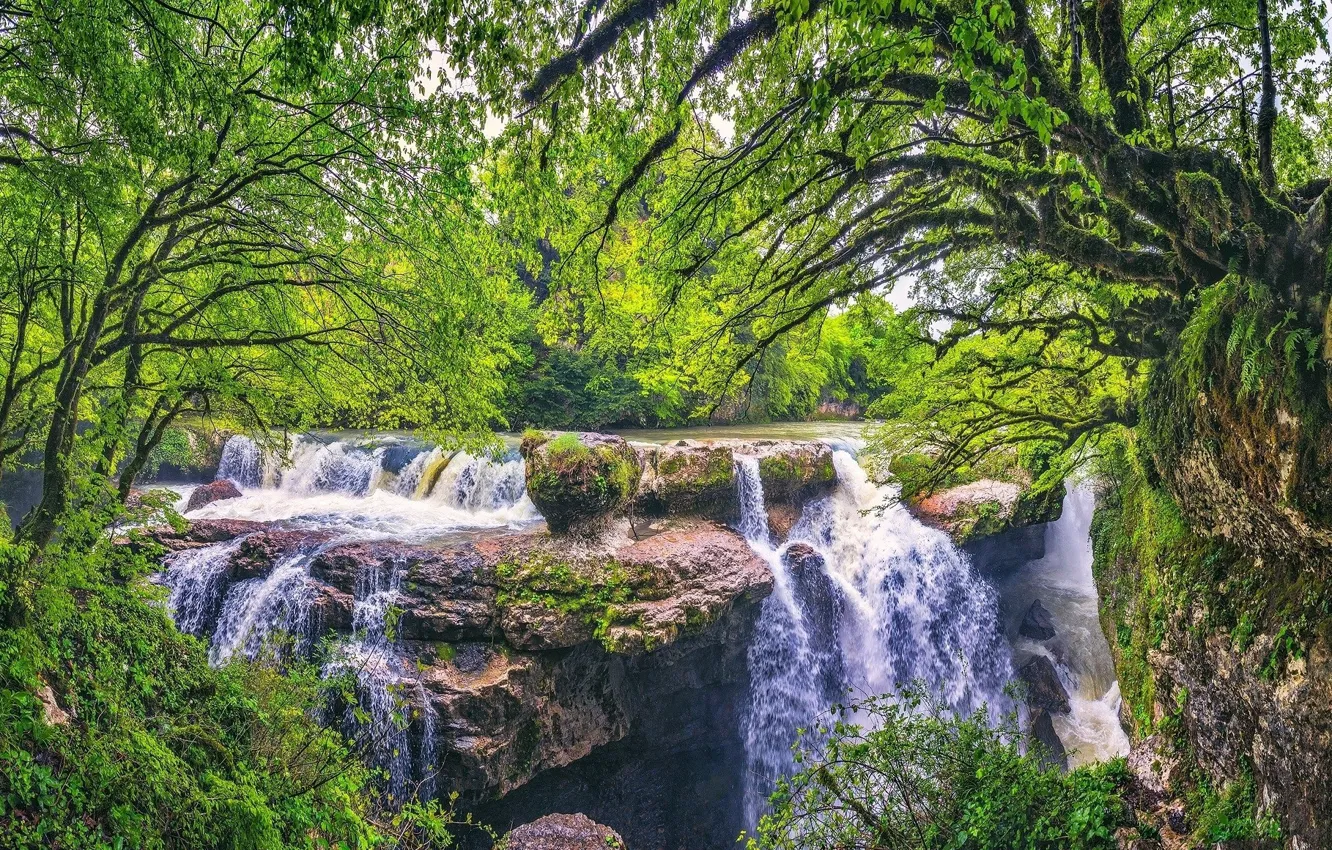 Фото обои зелень, лес, водопад