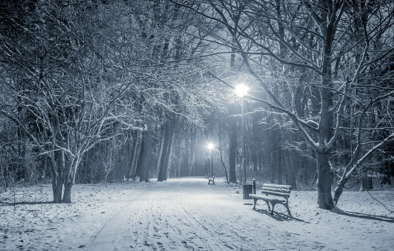 Фото обои зима, снег, деревья, пейзаж, скамейка, огни, парк, фонари