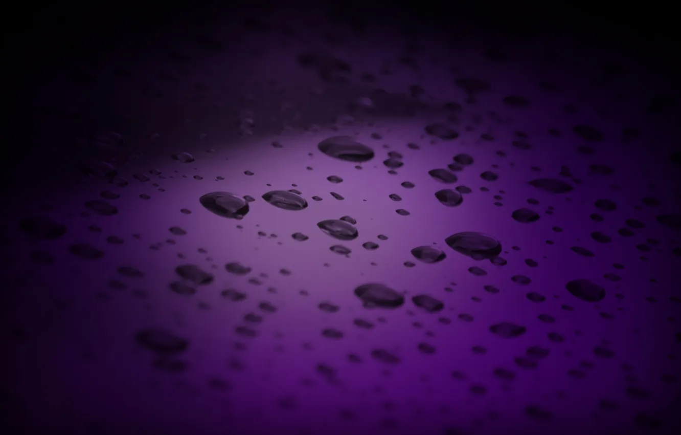 Фото обои фиолетовый, вода, капли, макро, фон