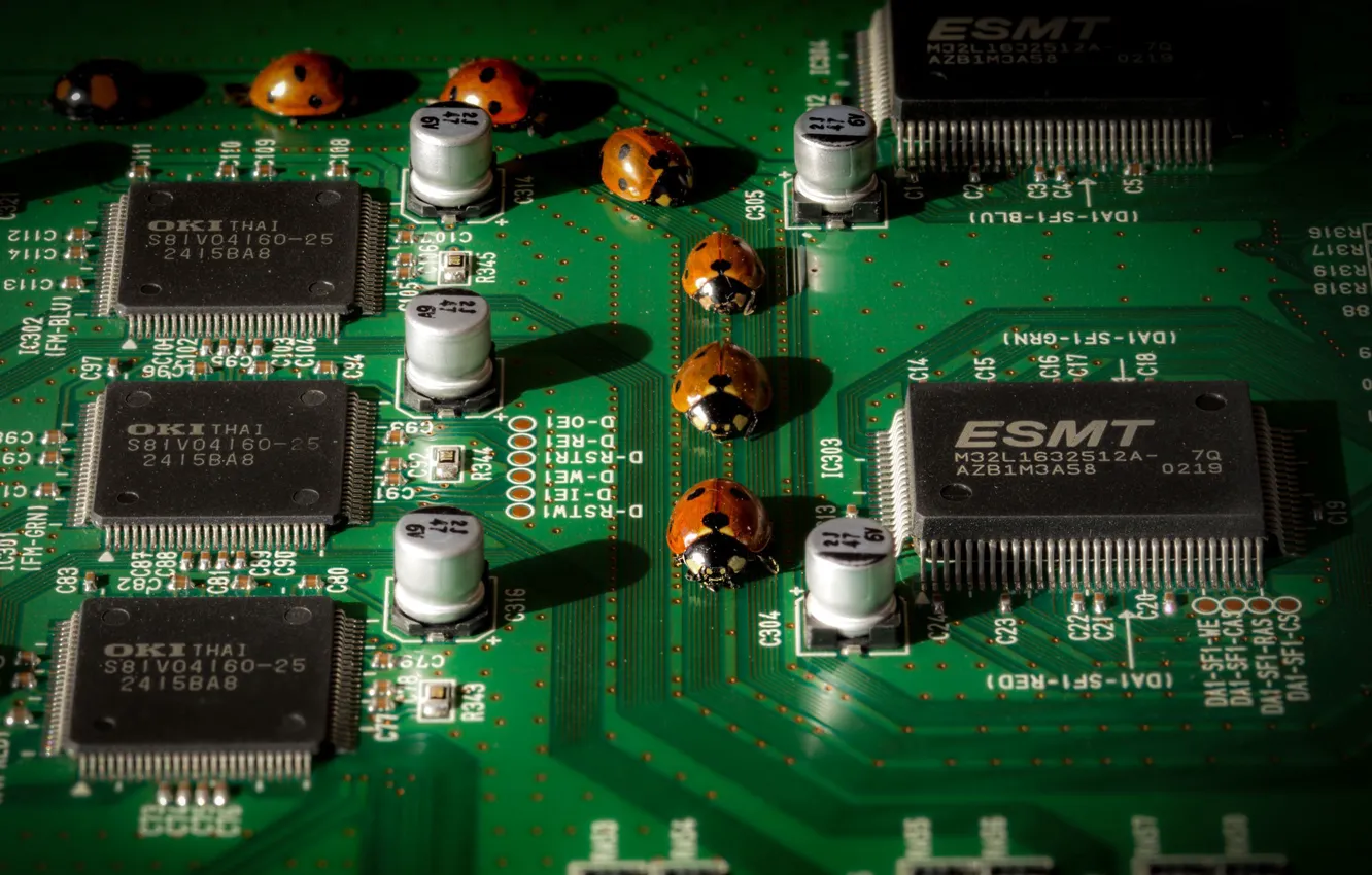 Фото обои микросхема, божья коровка, ladybug, КОНДЕНСАТОРЫ, Дмитрий Скворцов, capacitor, microcircuits