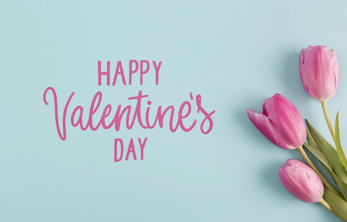 Фото обои цветы, тюльпаны, happy, 8 марта, pink, flowers, tulips, spring