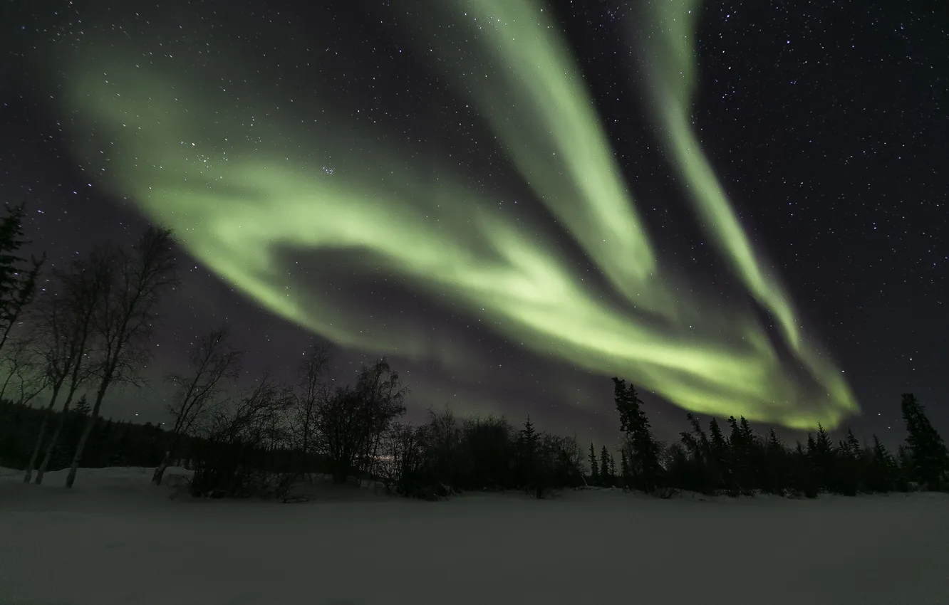 Фото обои зима, небо, звезды, ночь, северное сияние, Северная Канада