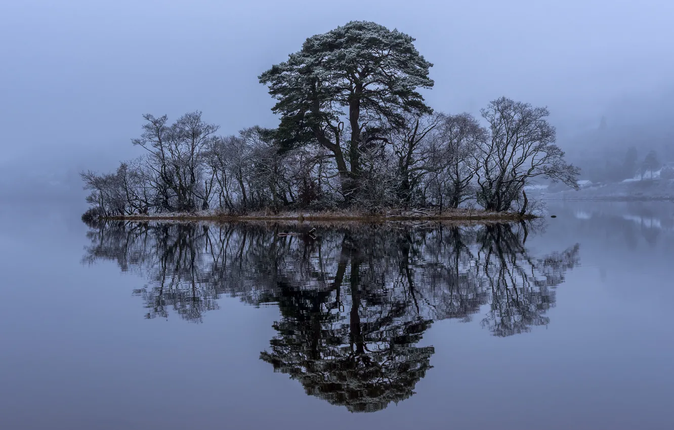 Фото обои деревья, озеро, отражение, Шотландия, островок, Scotland, Loch Awe, Лох-Эйв