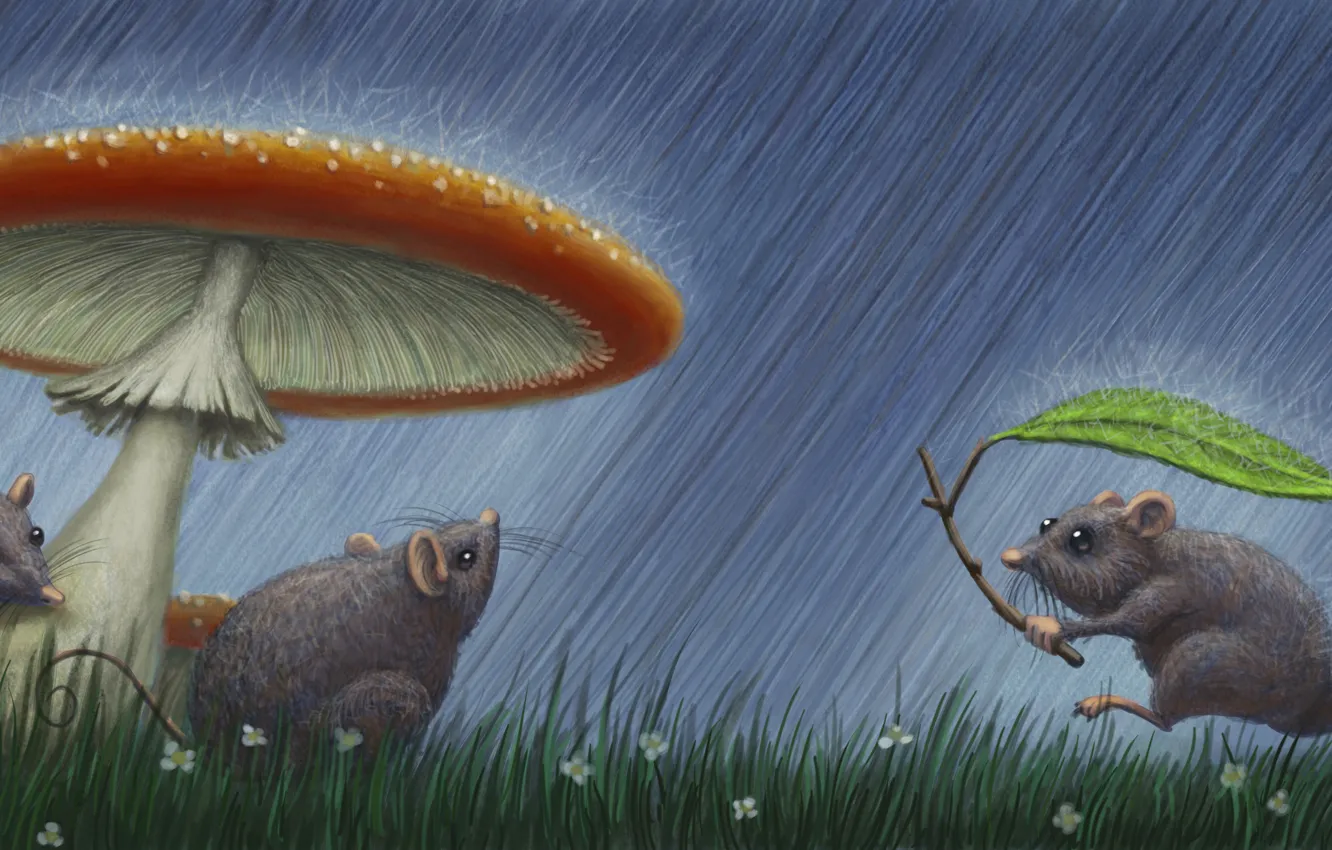 Фото обои Дождь, Грибы, Мыши, Животные, Рисункок