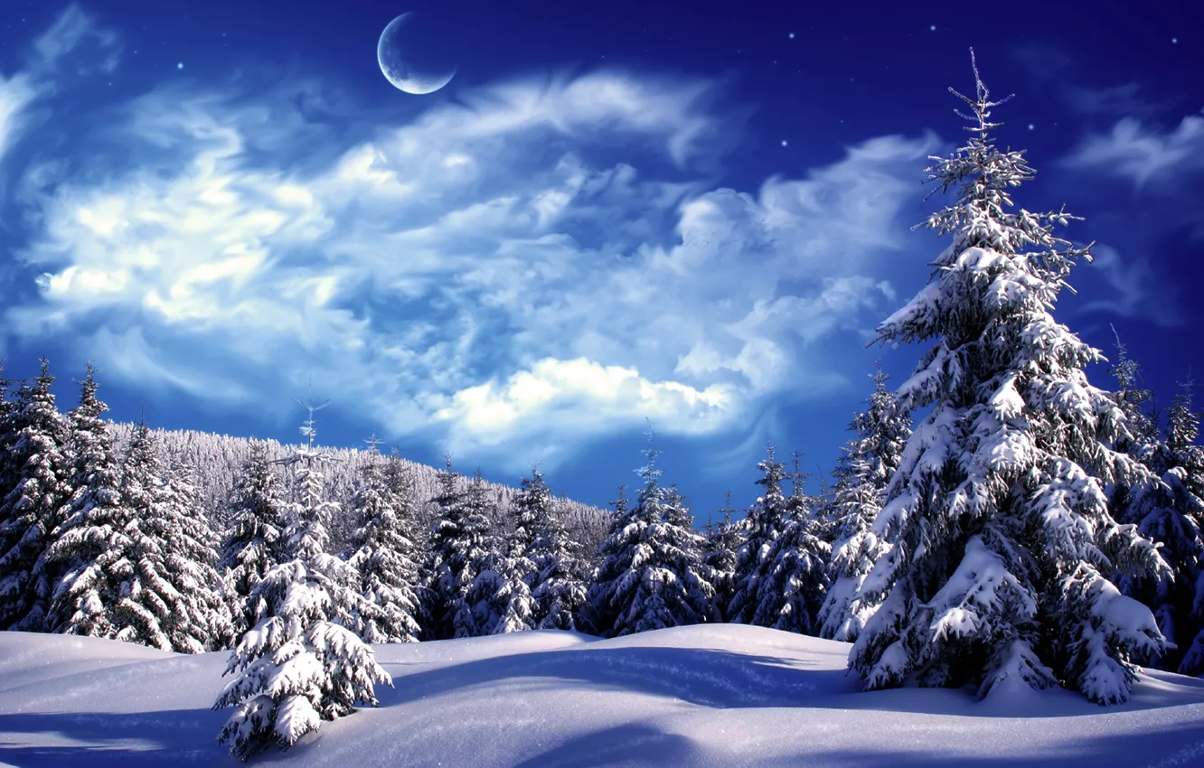 Фото обои зима, облака, снег, елки