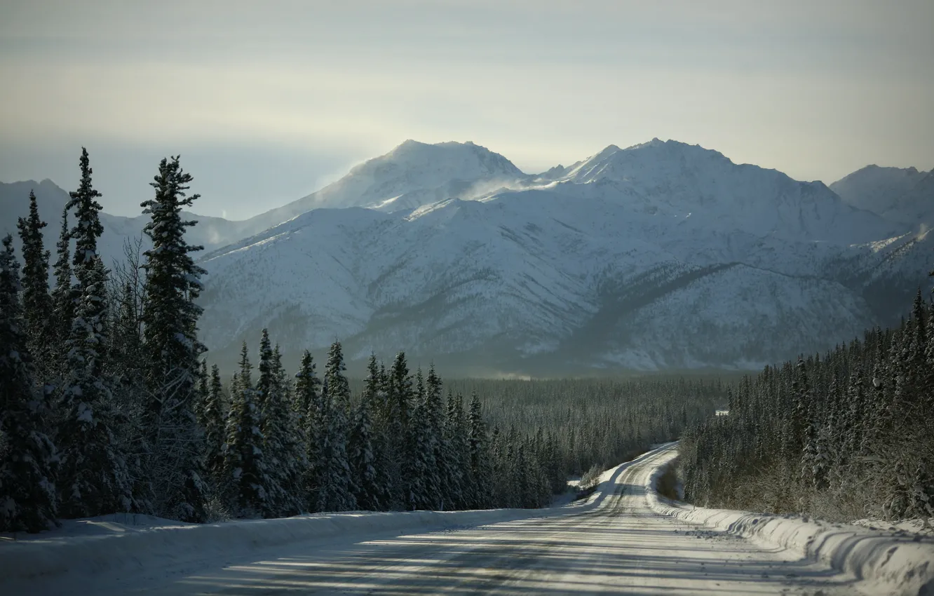 Фото обои дорога, лес, снег, горы, природа