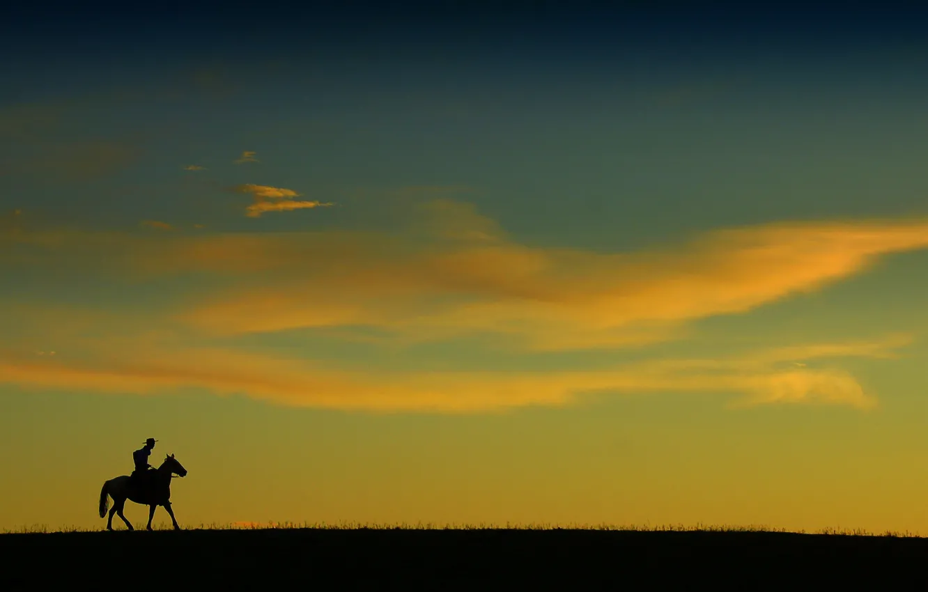 Фото обои поле, небо, облака, лошадь, горизонт, мужчина