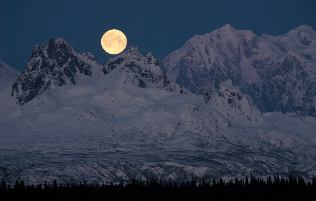 Фото обои снег, деревья, горы, ночь, природа, скалы, луна, полнолуние