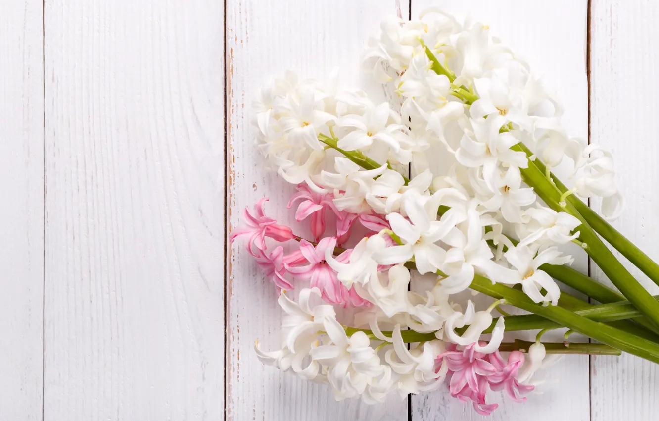 Фото обои цветы, розовый, букет, белые, гиацинты, Olena Rudo