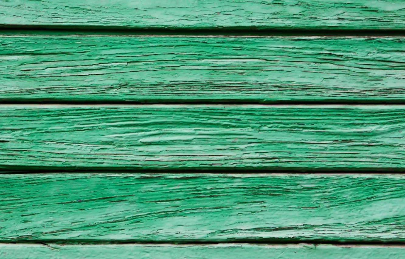 Фото обои green, wood, pattern