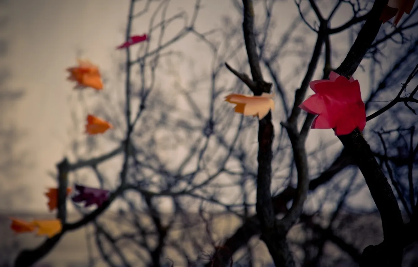 Фото обои осень, листья, деревья, ветки, бумага, фон, настроение, ветер