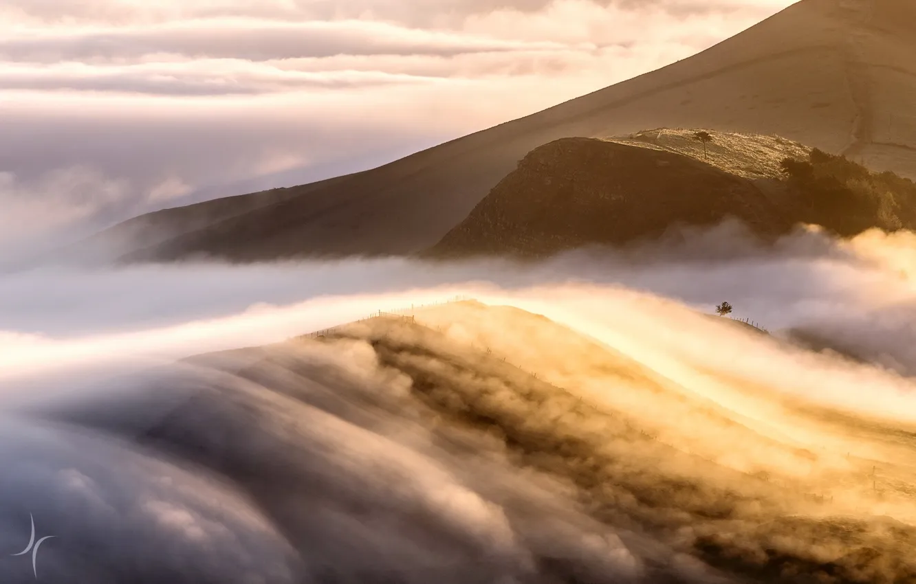 Фото обои горы, туман, утро, облока