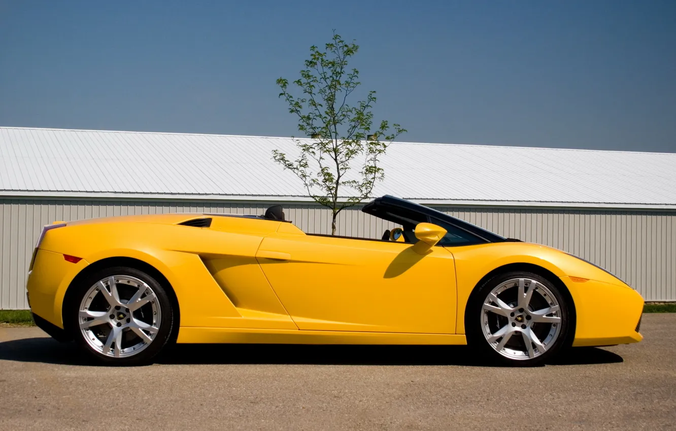 Фото обои желтый, Lamborghini, Gallardo, вид сбоку, деревце, Spyder, галлардо