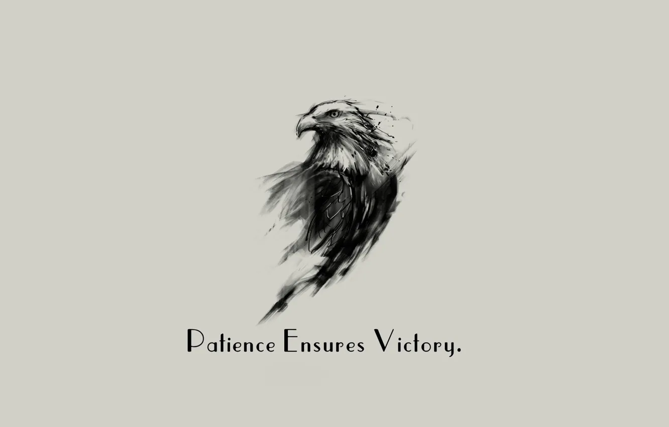 Фото обои Eagle, minimalism, background, Victory, quote, Patience, simply background, Ensures