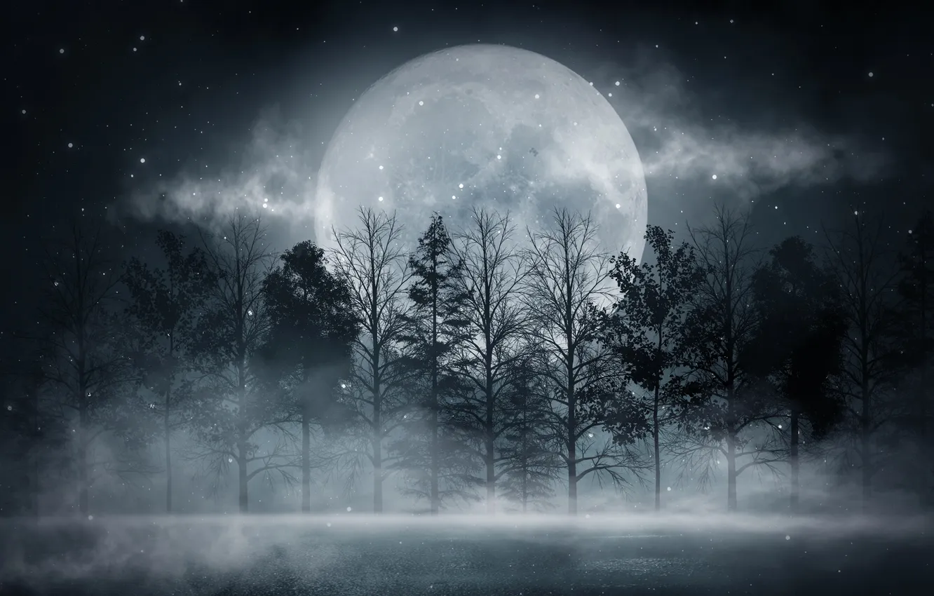 Фото обои misty, nature, night, morning, outdoor, mystery, mysterious, mystical