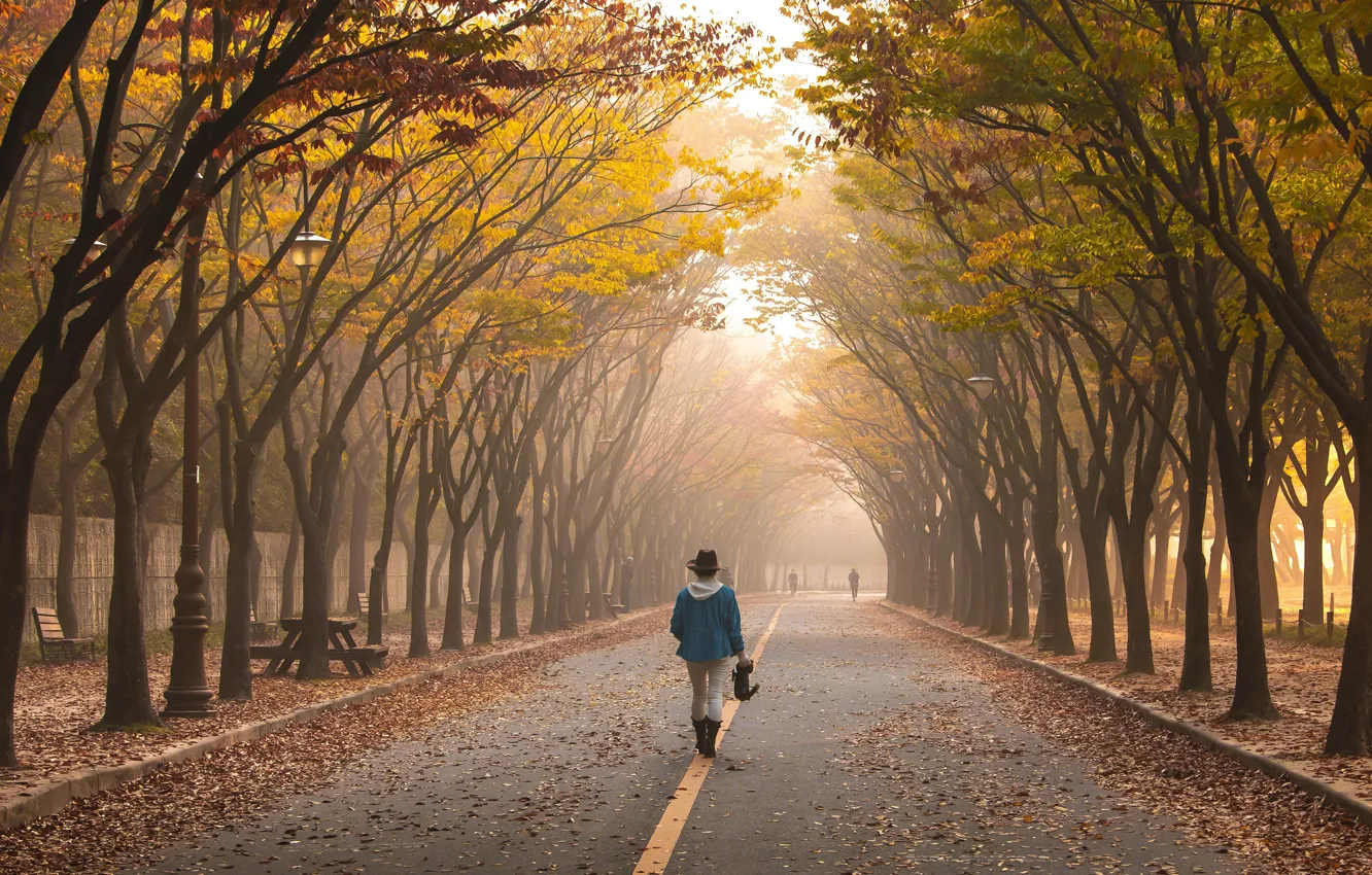 Фото обои дорога, осень, девушка, свет, деревья, туман, парк, люди
