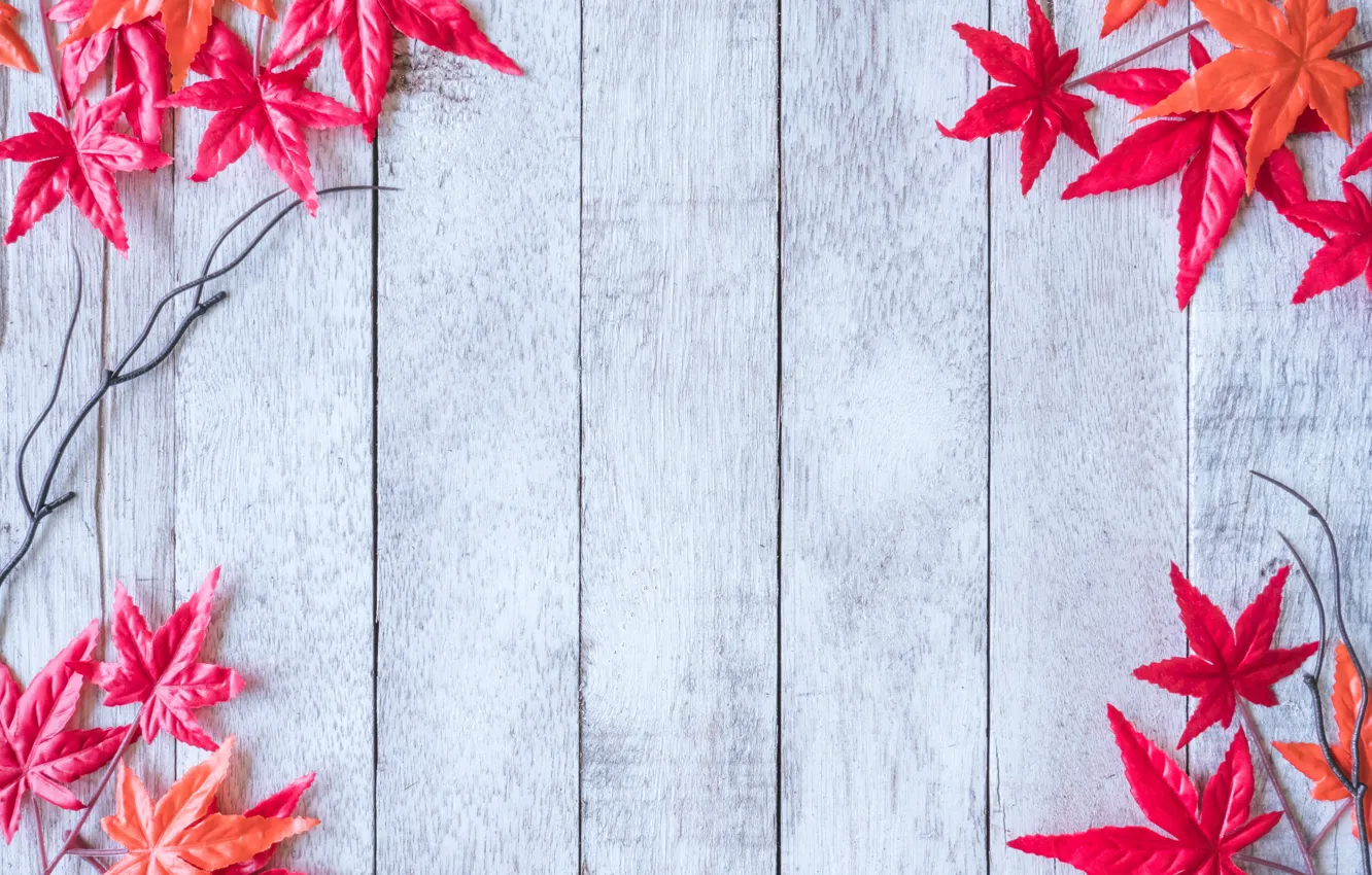 Фото обои осень, листья, фон, дерево, red, клен, wood, background
