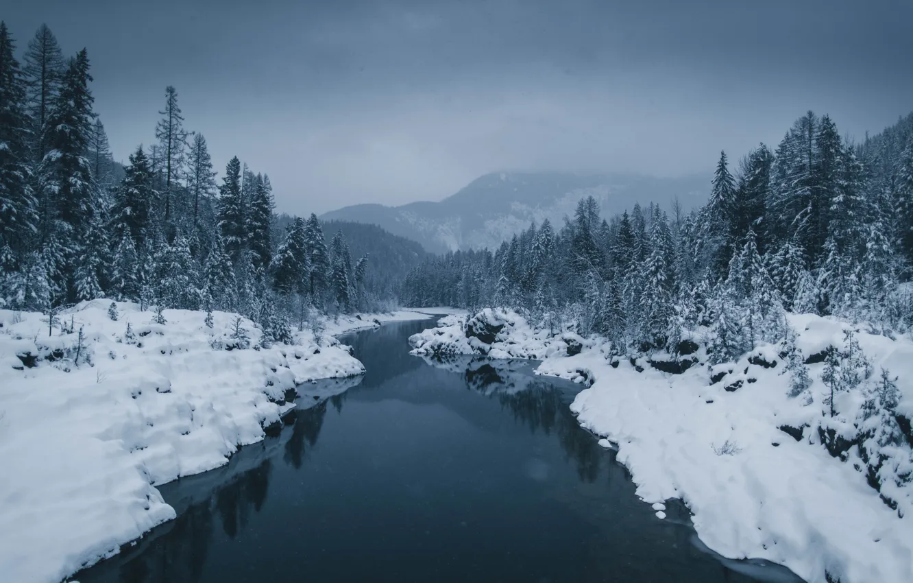 Фото обои Зима, Горы, Река, Снег, Лес