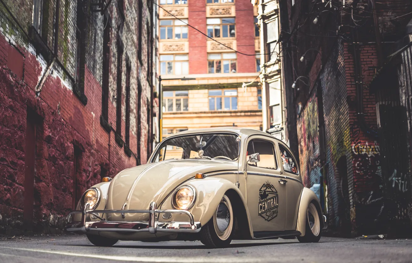 Фото обои Volkswagen, Street, Beetle, 64
