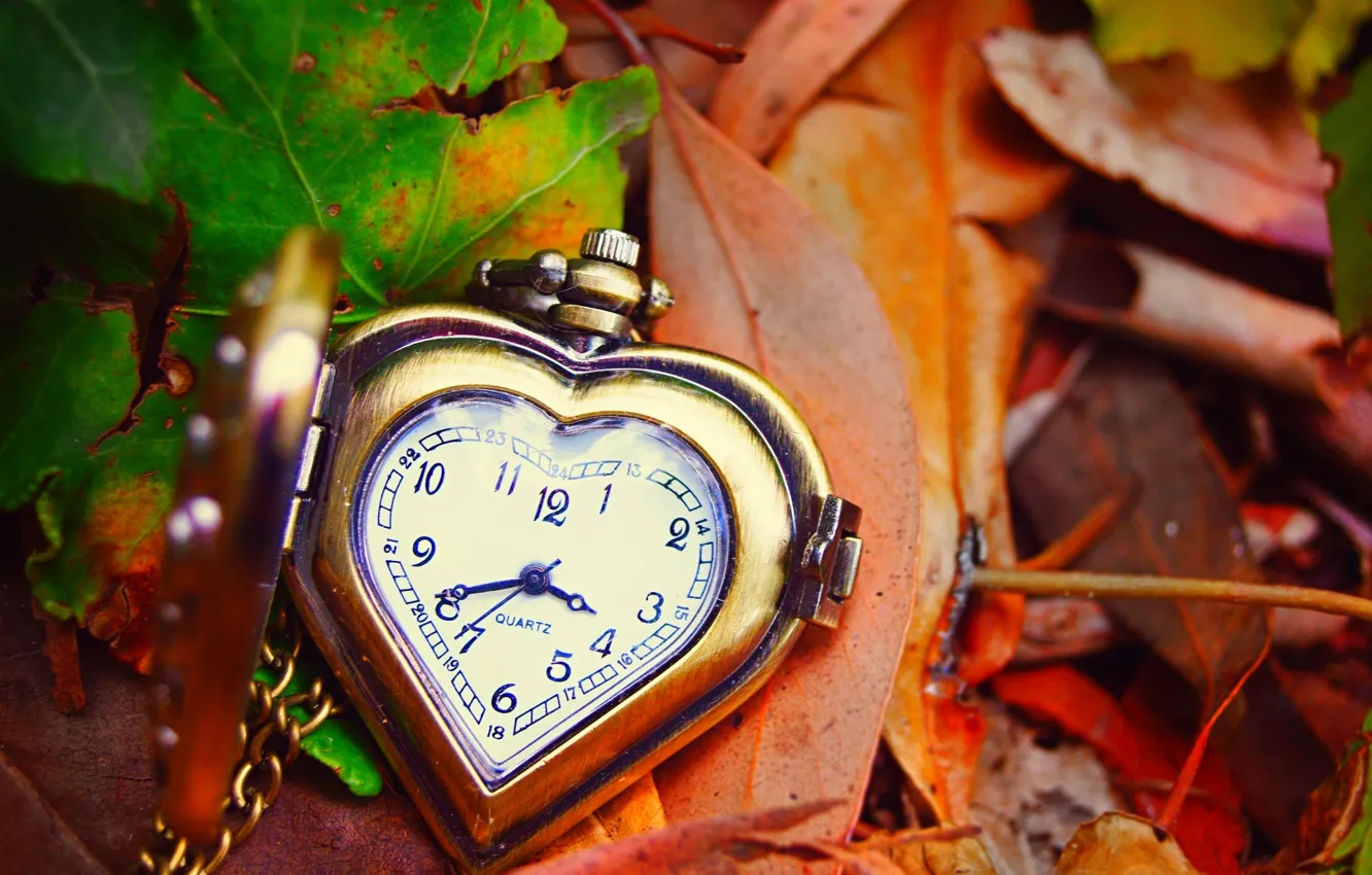 Фото обои осень, листья, стрелки, сердце, часы, love, циферблат, heart