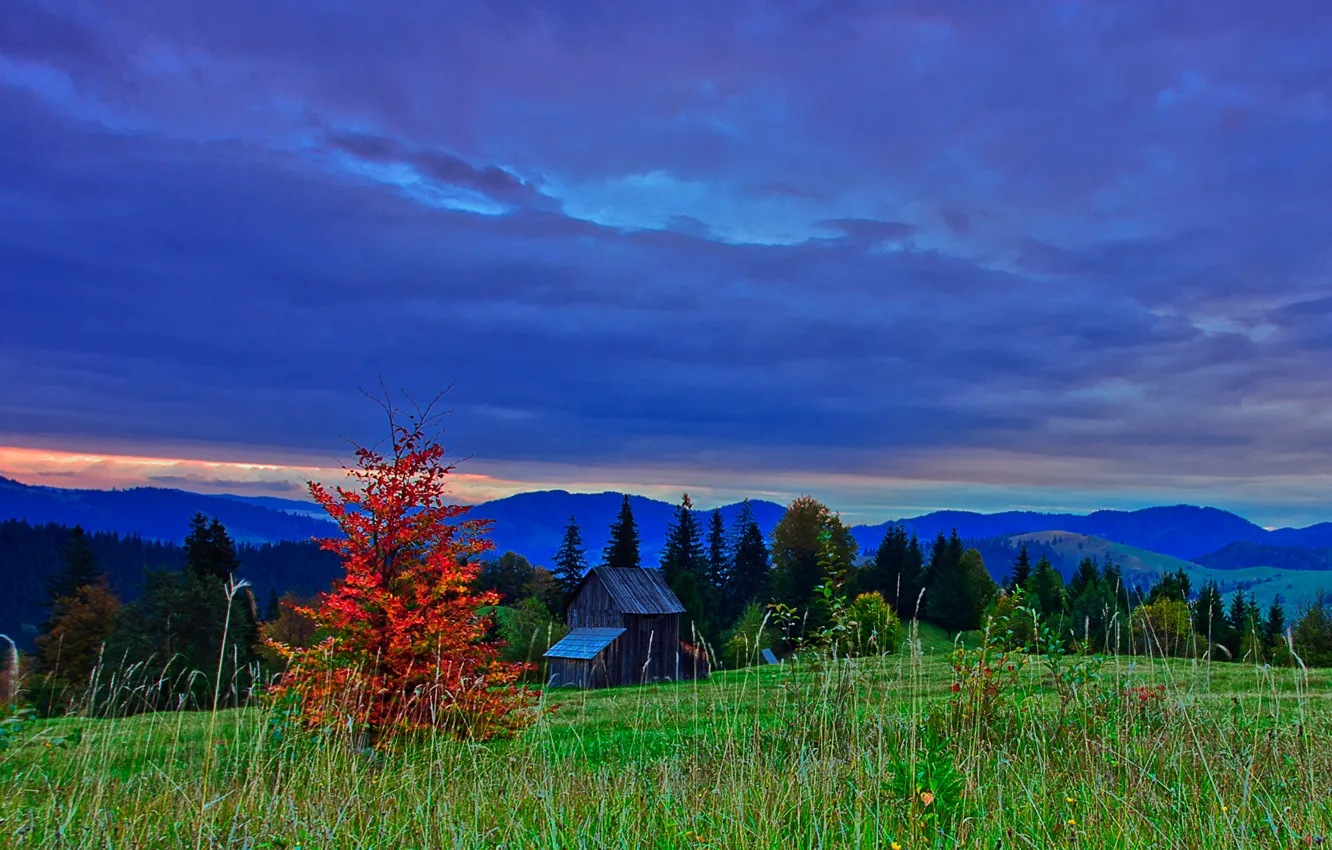 Фото обои осень, небо, облака, деревья, горы, тучи, природа, вечер