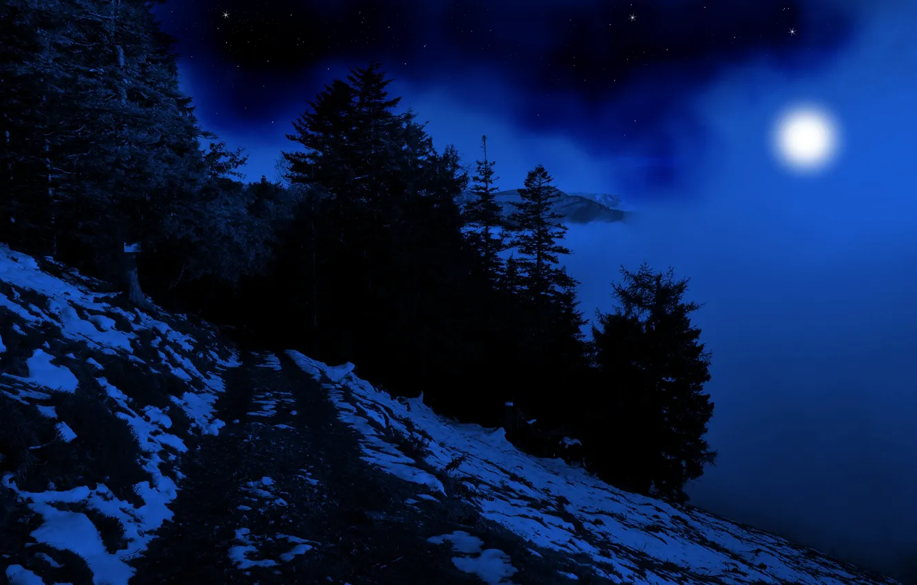 Фото обои зима, лес, небо, снег, деревья, природа, туман, темнота
