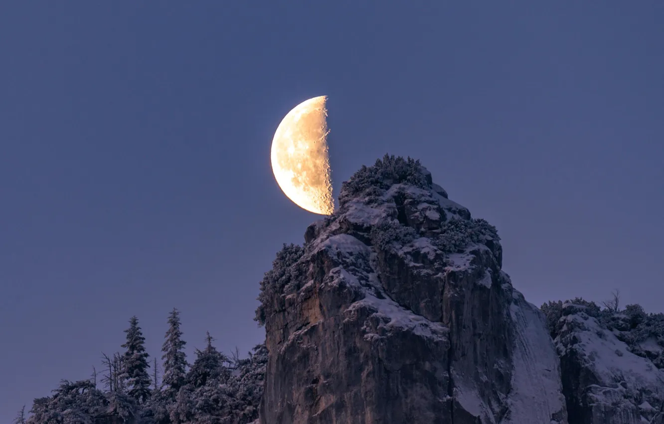 Фото обои небо, снег, деревья, горы, ночь, природа, скалы, луна