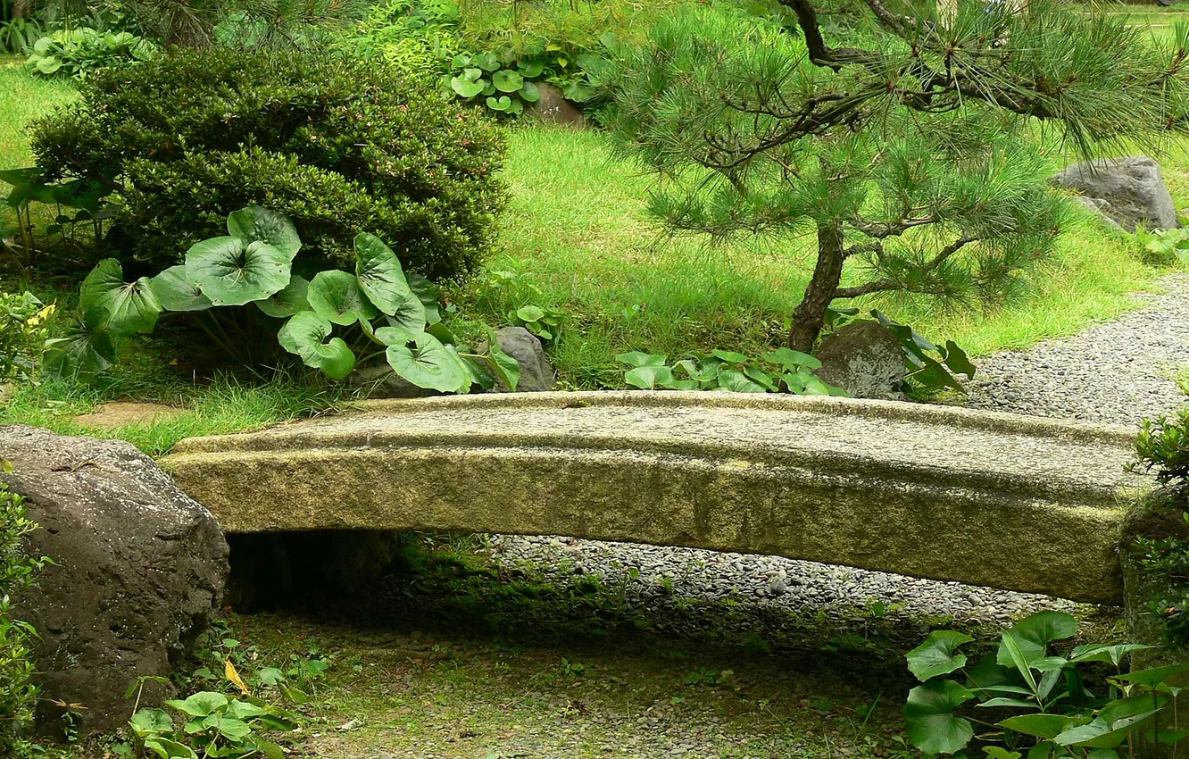 Фото обои парк, дерево, куст, сад, дорожка, мостик, аллея, японский