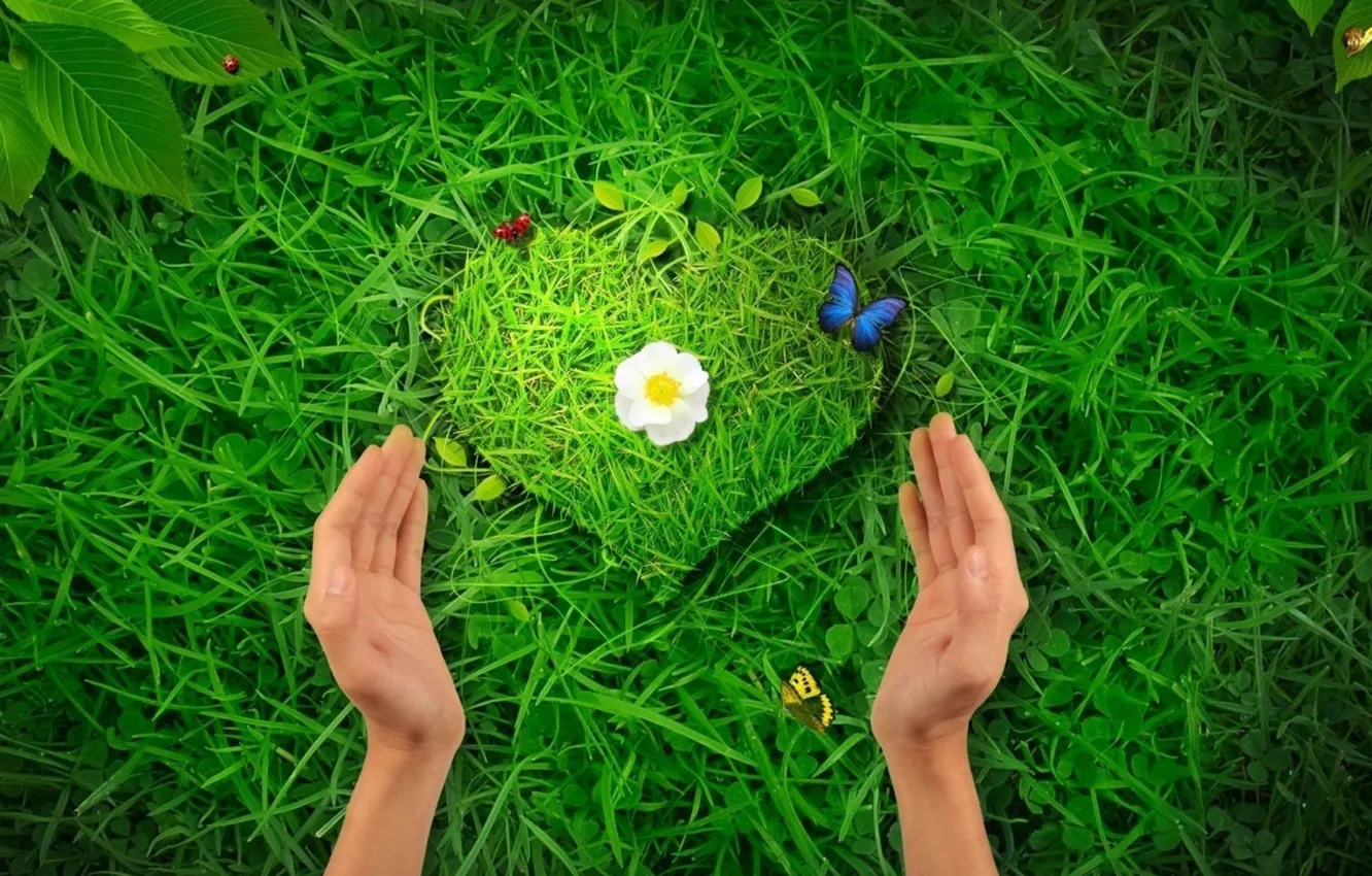 Фото обои трава, сердце, руки