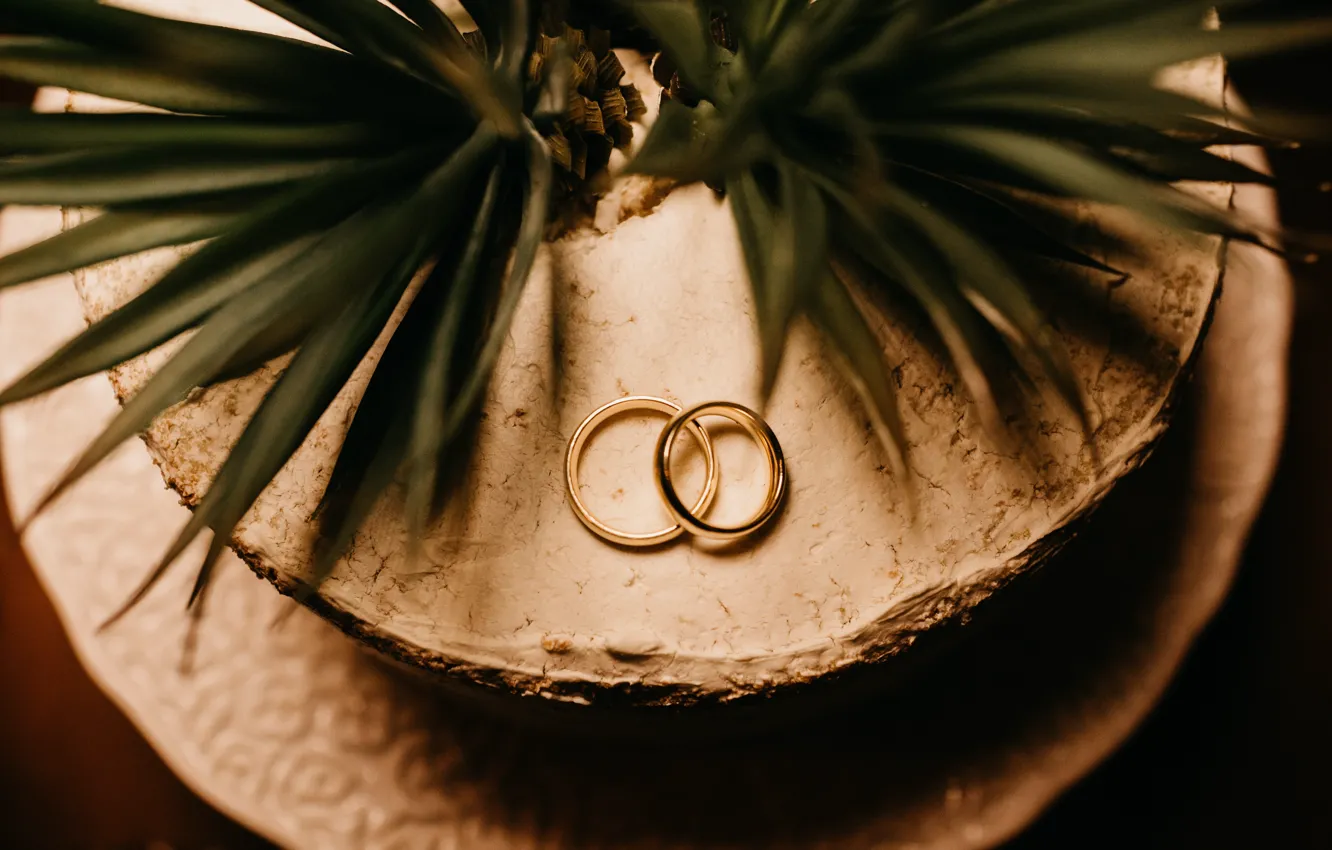 Фото обои любовь, растение, кольца, золотые, свадьба, свадебные