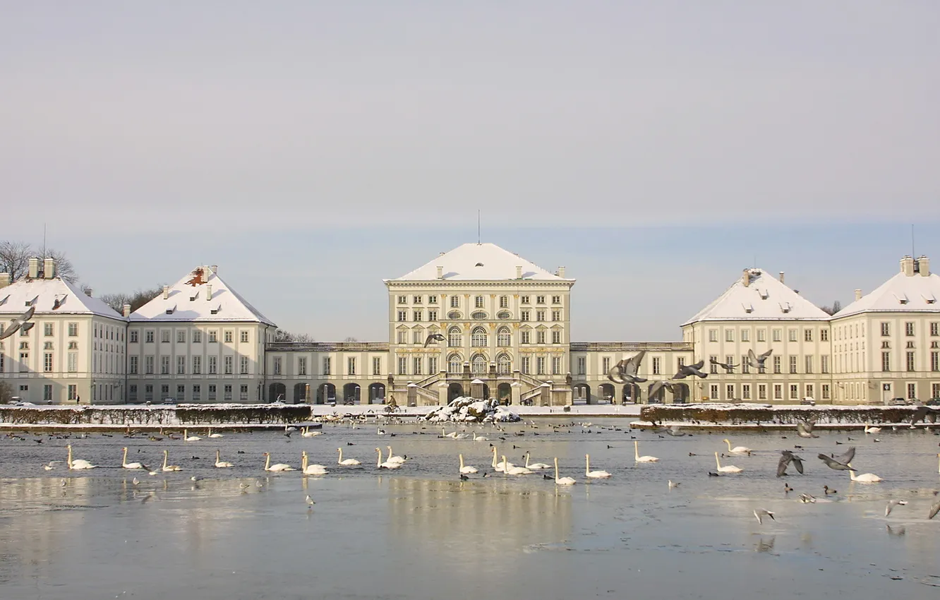 Фото обои зима, птицы, озеро, Дворец, лебеди, palace