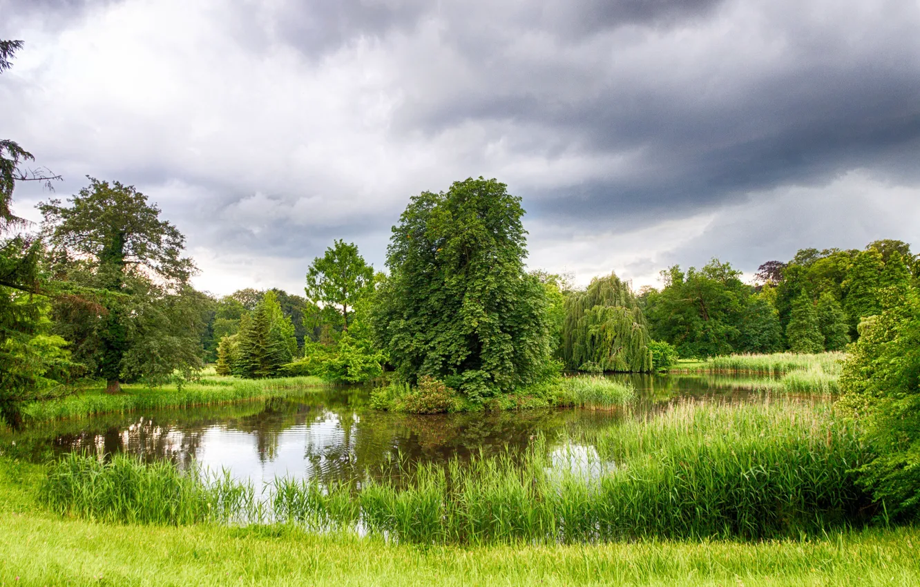 Фото обои пруд, парк, Германия, Germany, Fläming, Wiesenburg