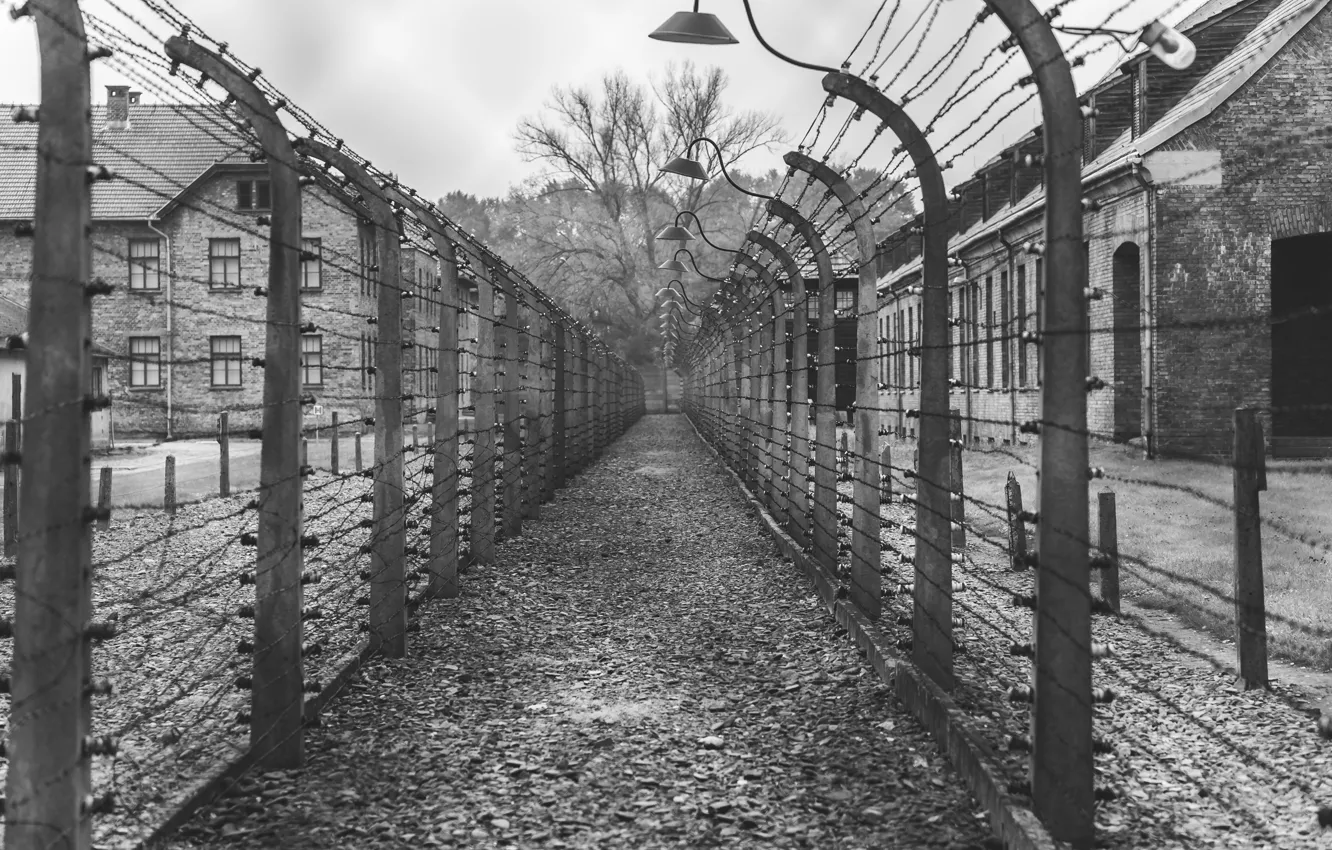 Фото обои Lights, Camp, World War 2, WW2, World War Two, Karsten Winegeart, Jews, War Crimes