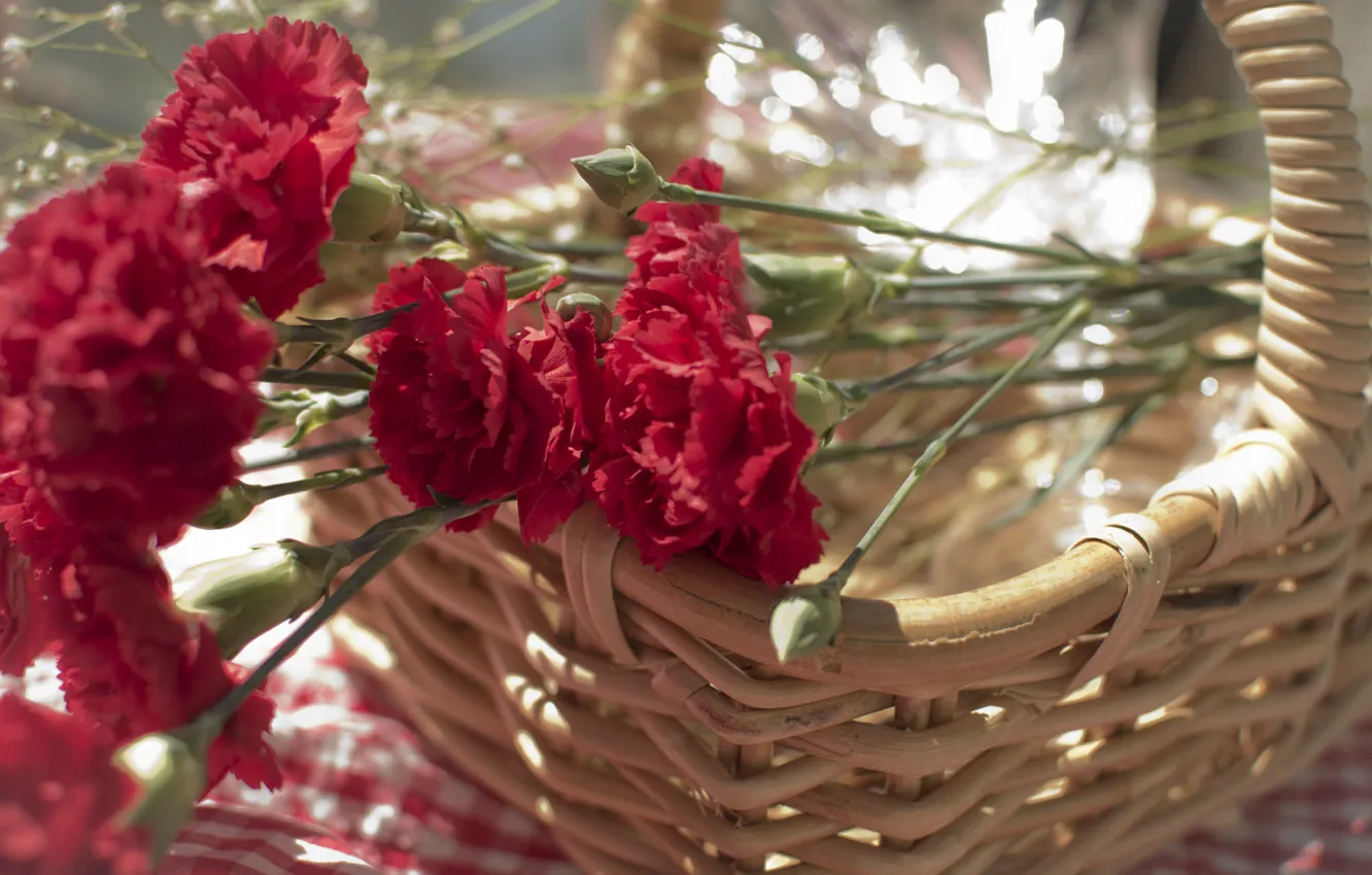Фото обои цветы, лепестки, красные, гвоздики, корзина. корзинка