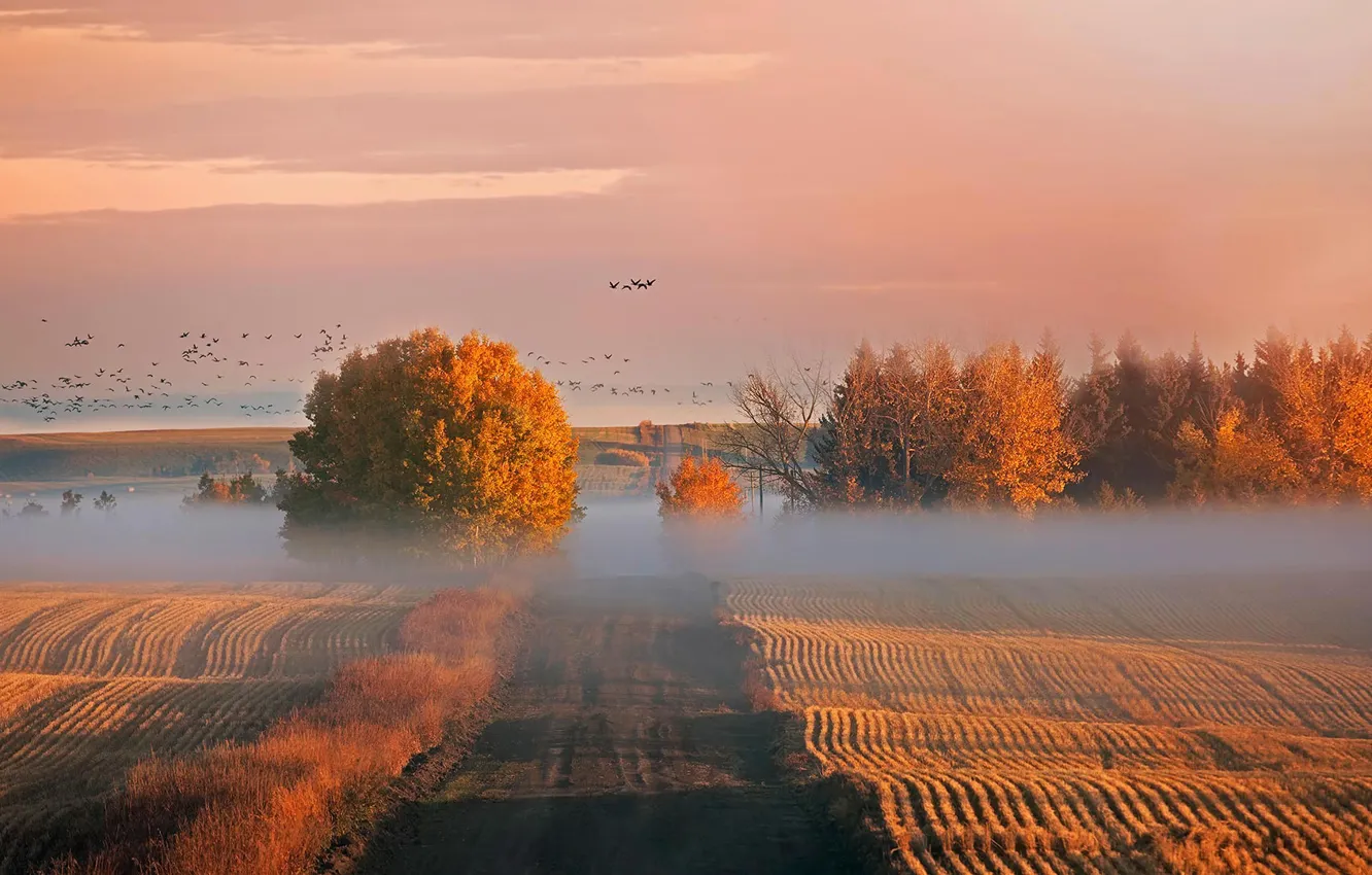 Фото обои осень, Канада, Альберта