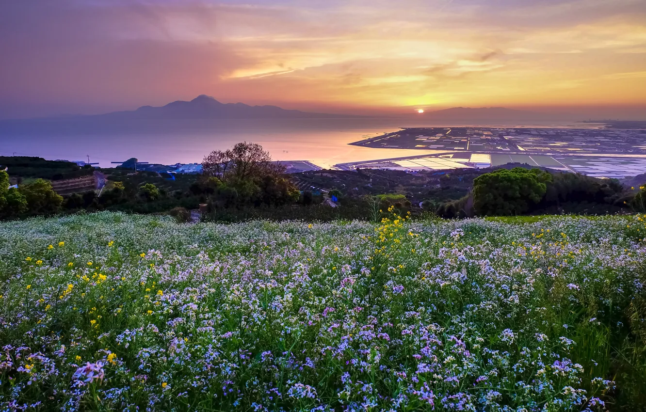 Фото обои трава, пейзаж, закат, цветы, горы, город, река, Япония