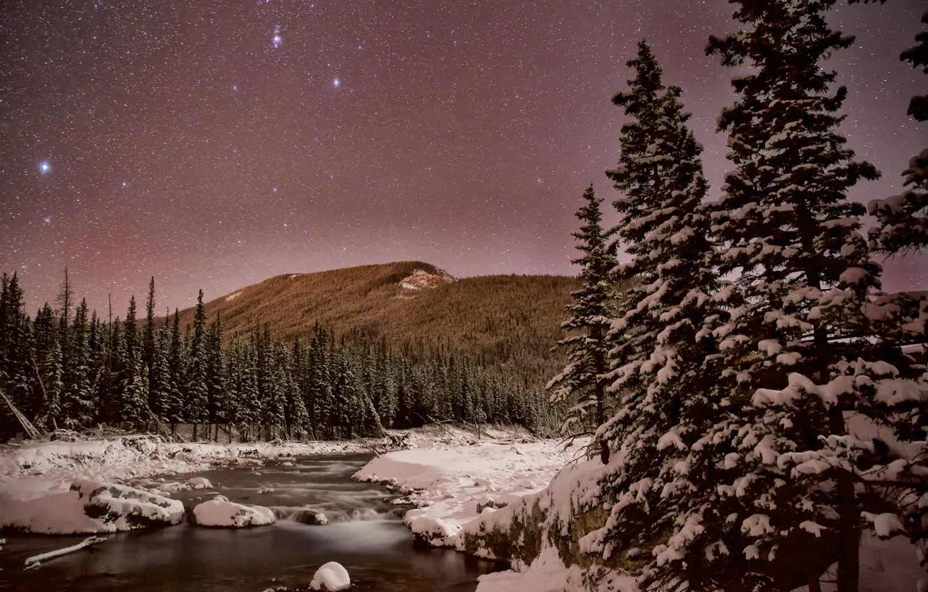 Фото обои зима, небо, звезды, снег, деревья, горы, ночь, река