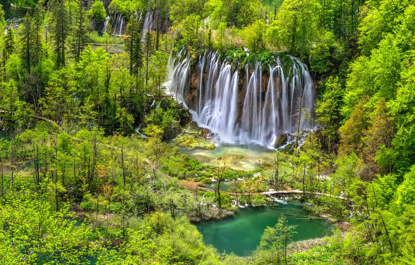 Фото обои лес, озеро, водопады, Хорватия, Plitvice