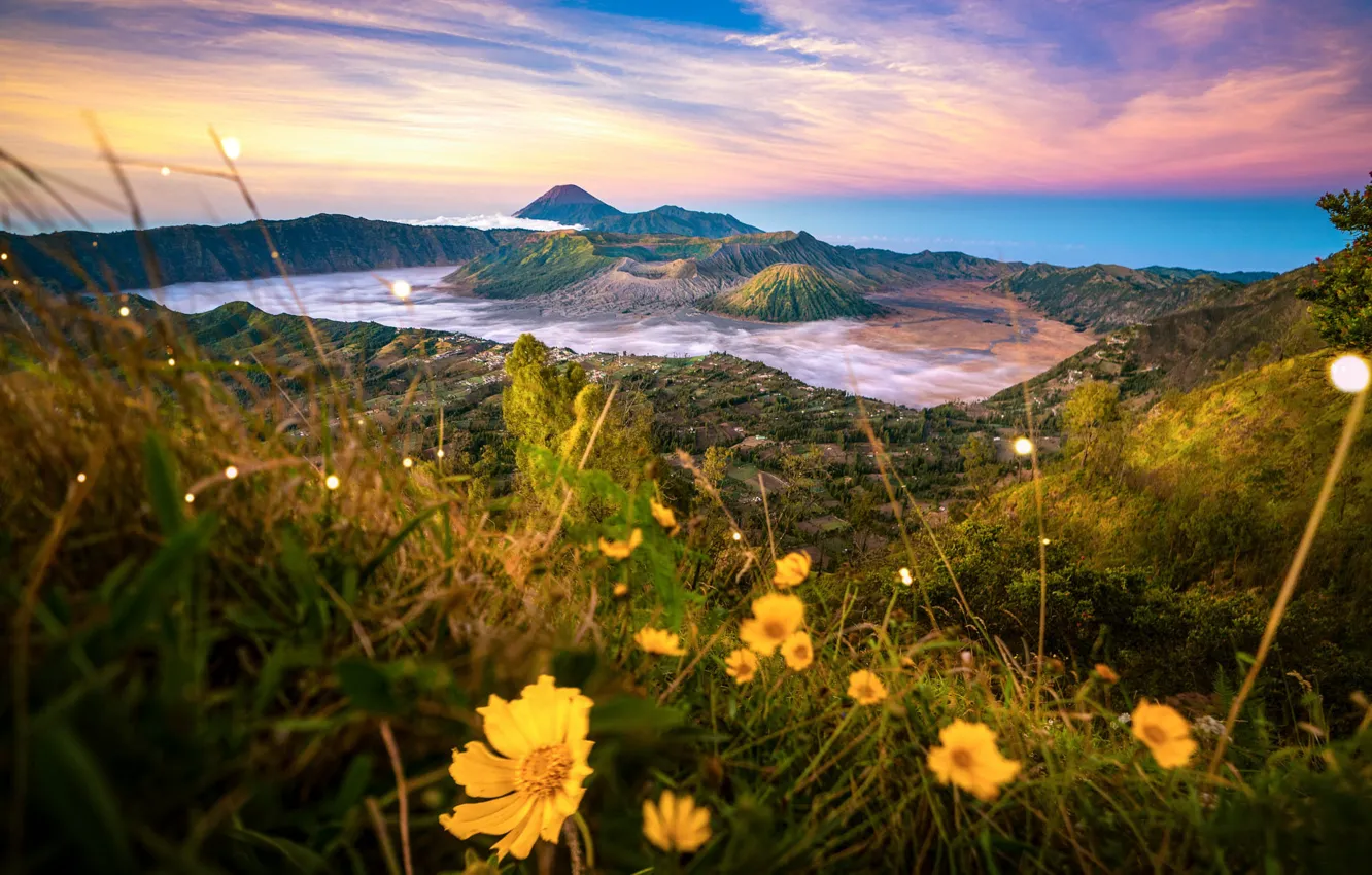 Фото обои трава, облака, пейзаж, цветы, природа, остров, долина, Индонезия