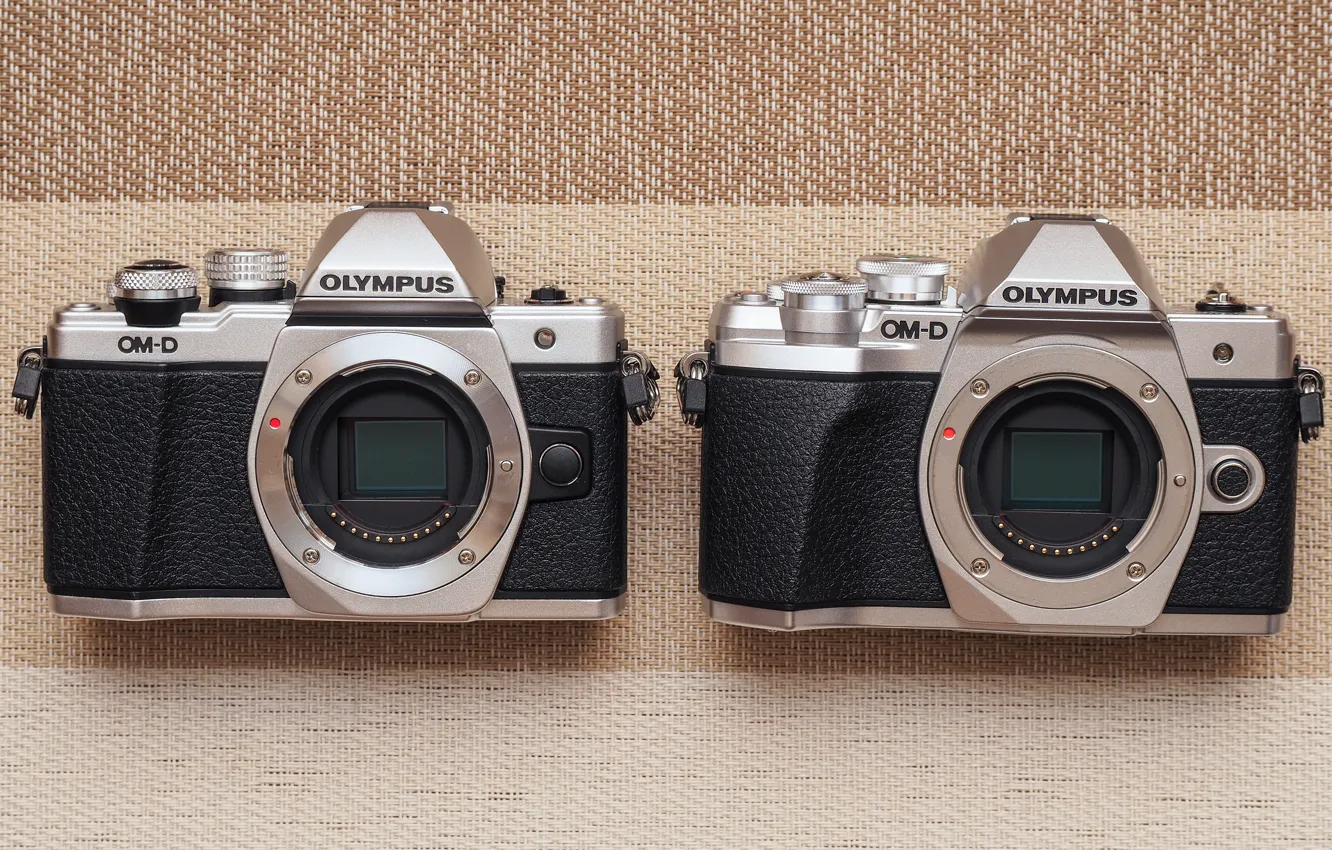 Фото обои пара, фотоаппараты, Olympus OM-D