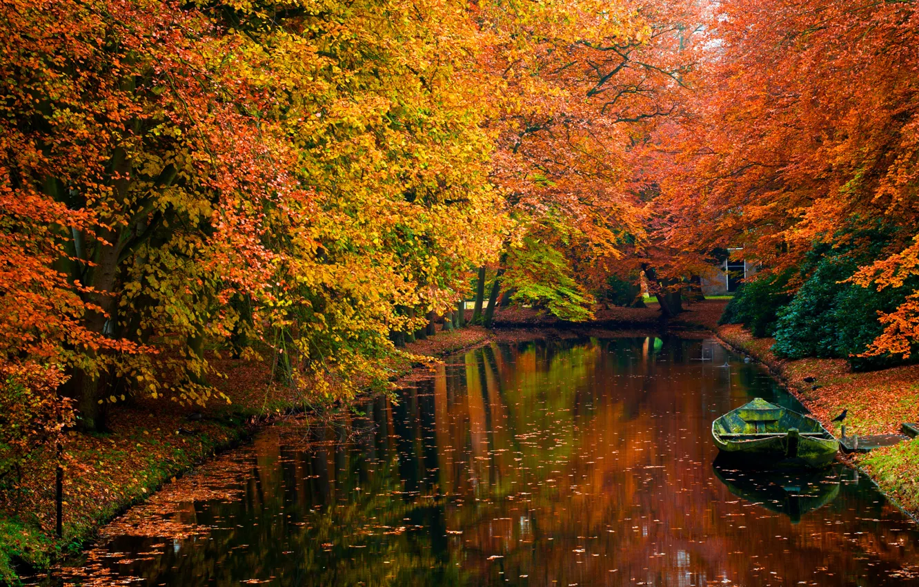 Фото обои осень, вода, деревья, фото, романтика, лодка, красота