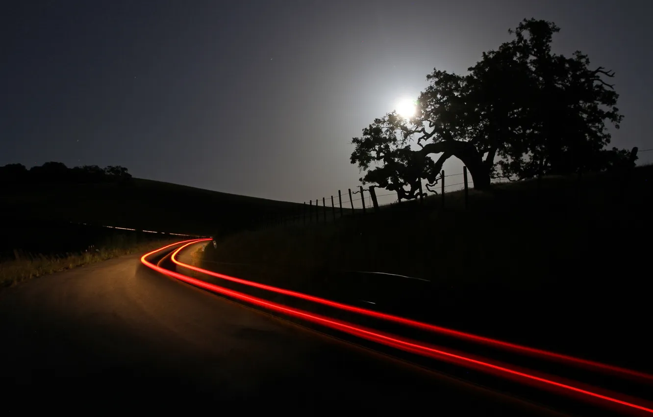 Фото обои дорога, свет, ночь, дерево