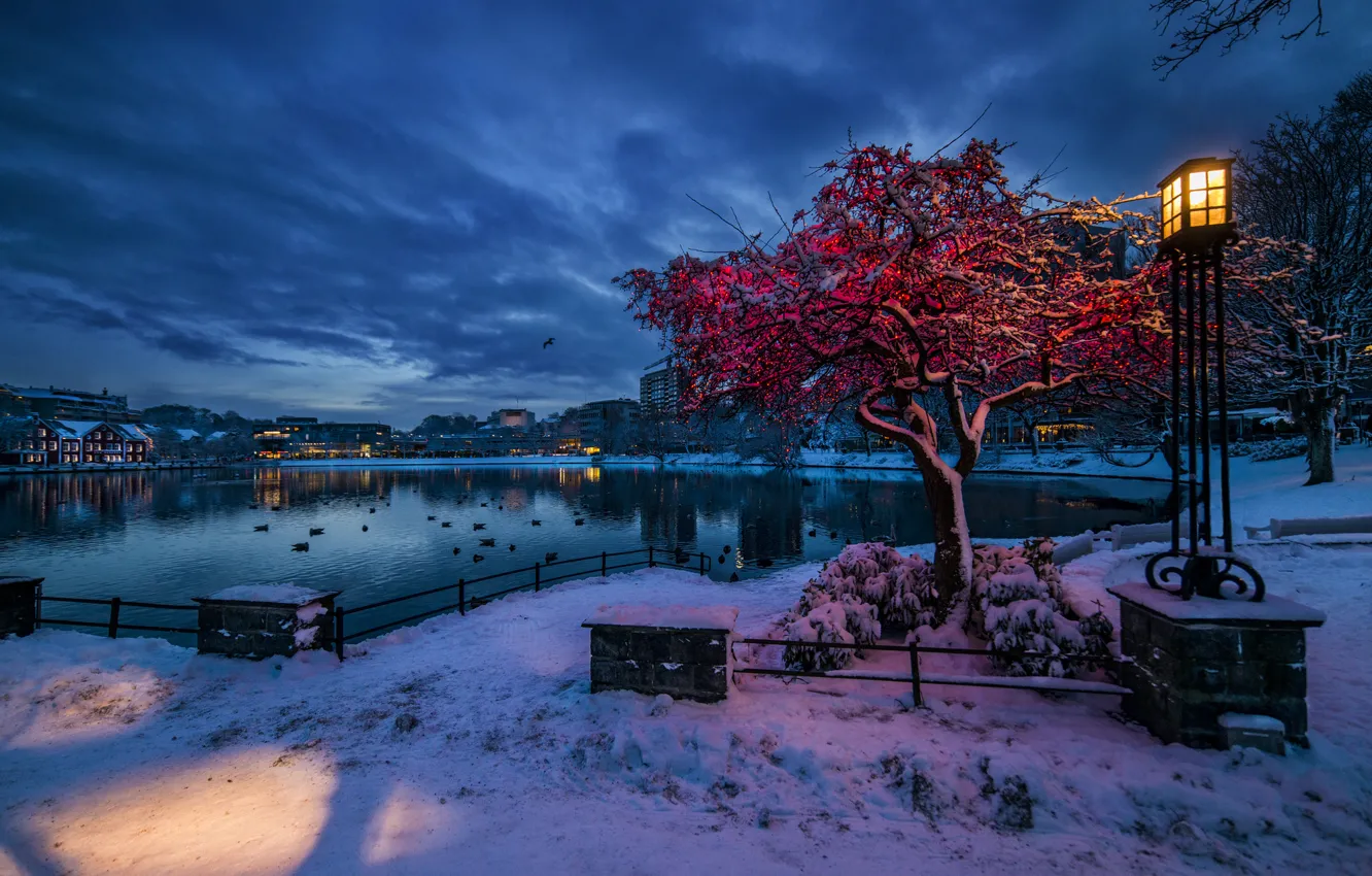Фото обои зима, снег, огни, Норвегия, фонарь, Ставангер, Ругаланн, вечер сумерки