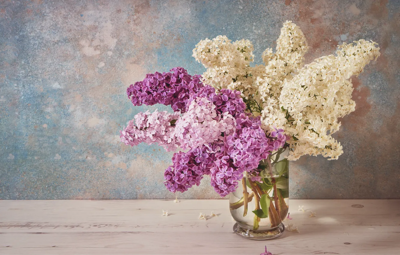 Фото обои цветы, букет, wood, flowers, сирень, romantic, lilac