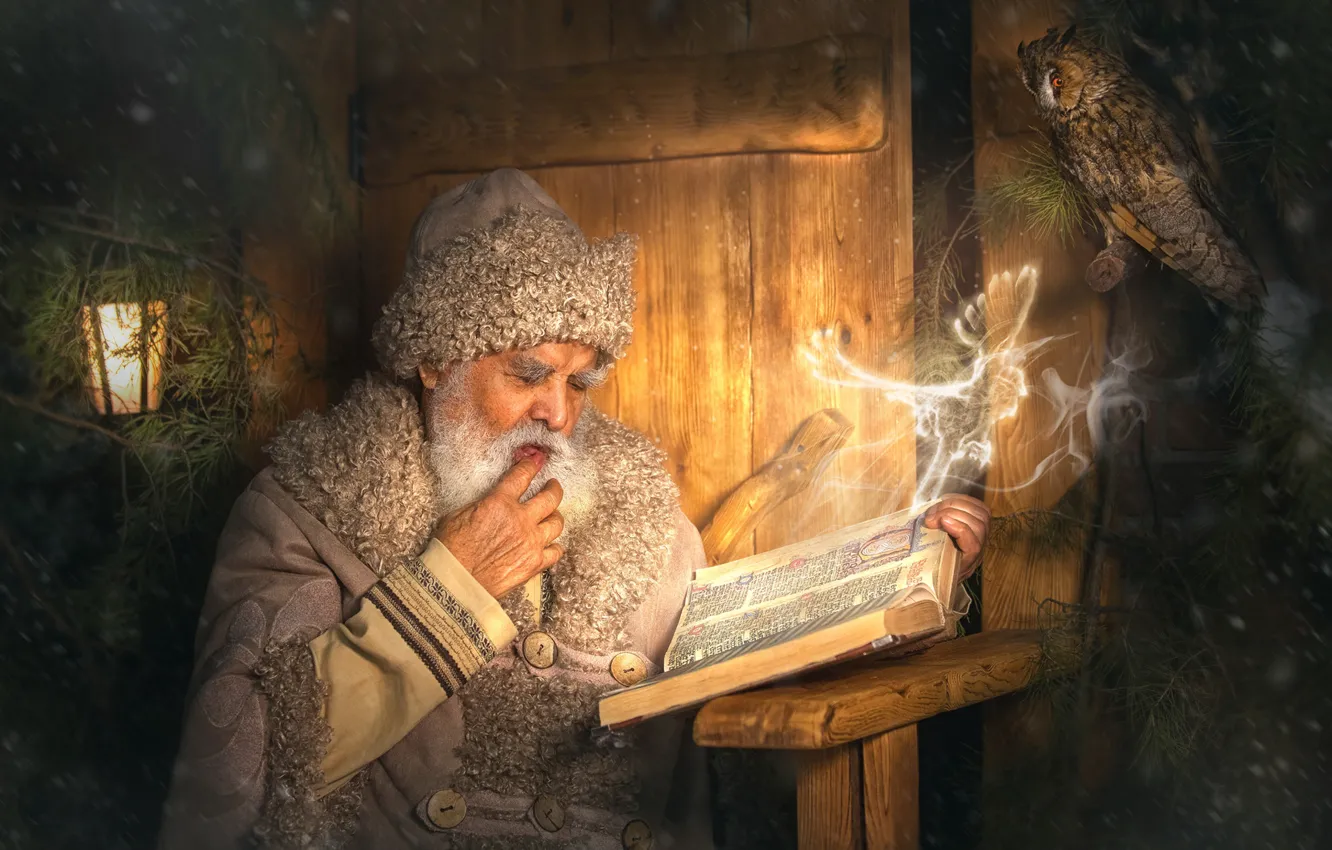 Фото обои сова, птица, волшебство, книга, старик, Дед Мороз, филин, Александр Якименко